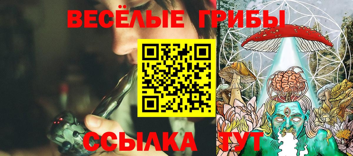 Галлюциногенные грибы Magic Shrooms  Вход с VPN  Галлюциногенные грибы прущие грибы  Куйбышев 